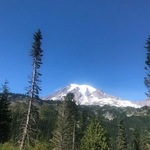 Meet your Posher, Duong